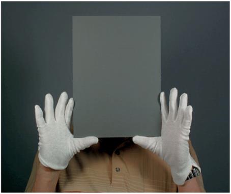 image019.jpg image019.jpg