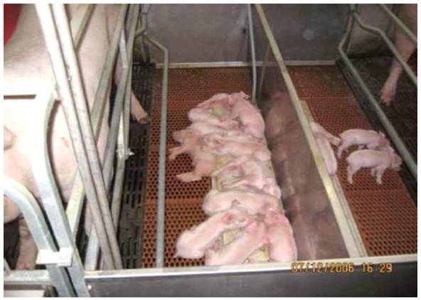 image023.jpg image023.jpg