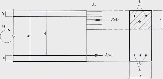 image008.jpg image008.jpg