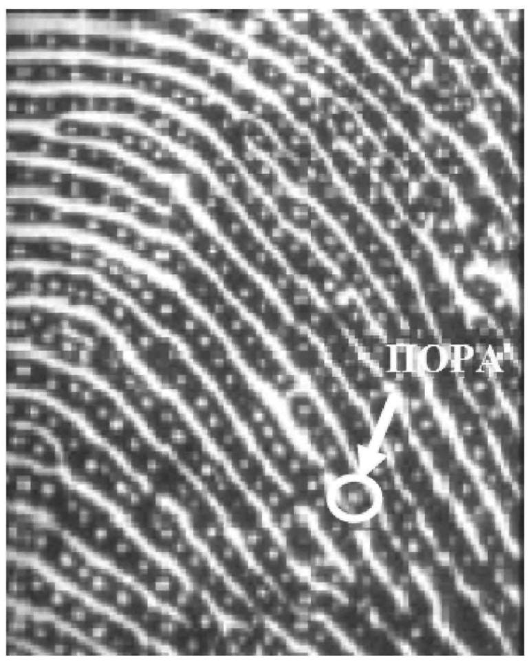 image014.jpg image014.jpg