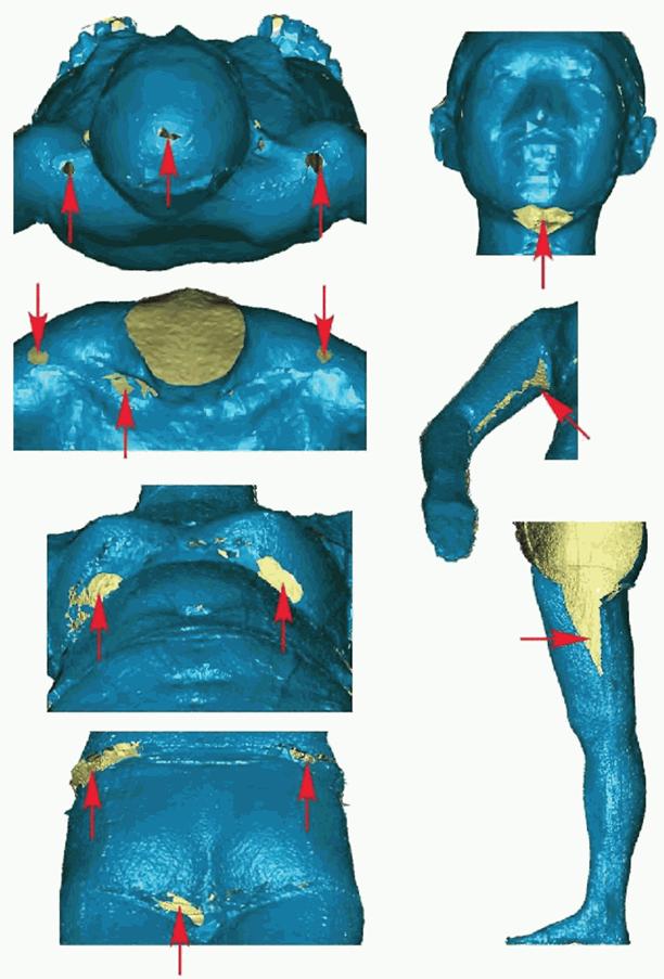 image016.jpg image016.jpg