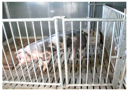 image014.jpg image014.jpg