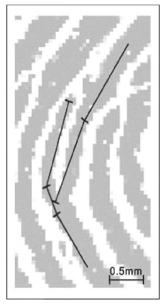 image022.jpg image022.jpg