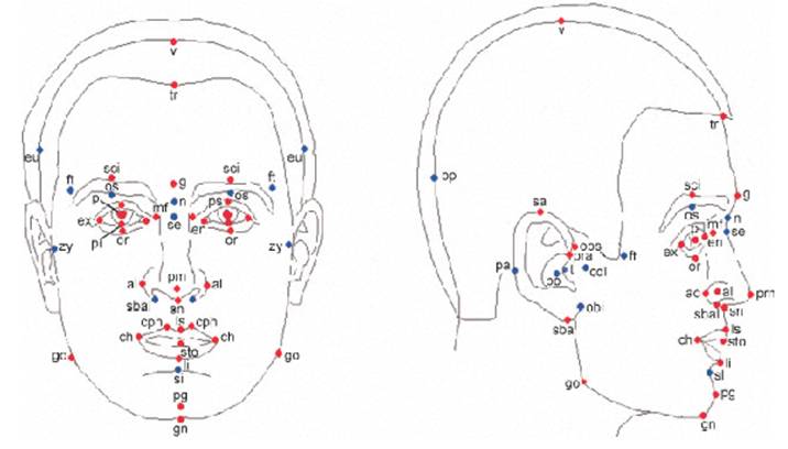 image009.jpg image009.jpg
