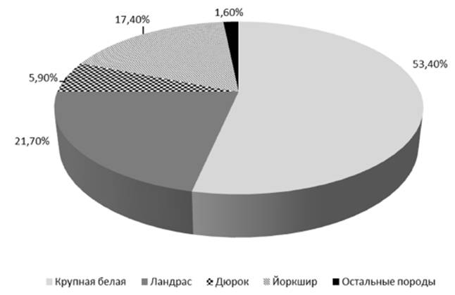 image002.jpg image002.jpg