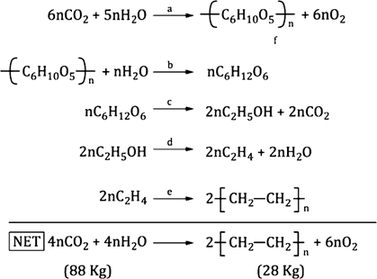 image006.png image006.png