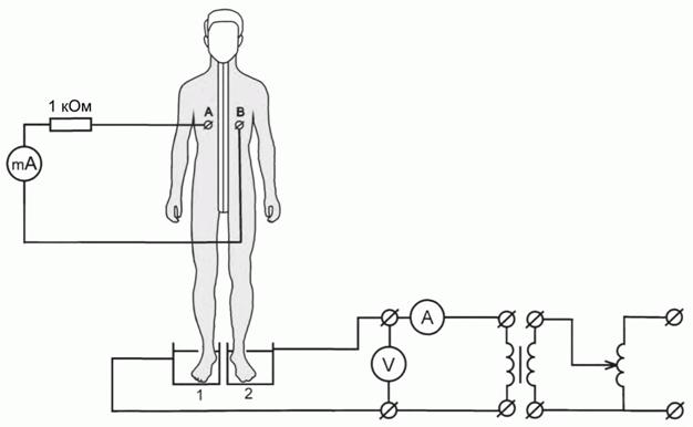 image006.jpg image006.jpg