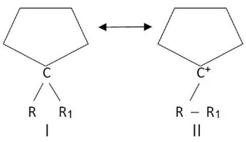 image031.jpg image031.jpg