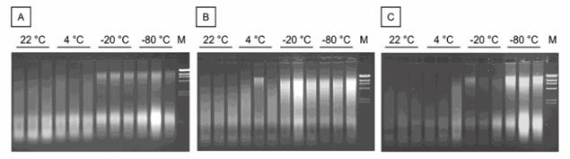 image0ris1.jpg image0ris1.jpg