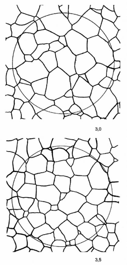 image018.jpg image018.jpg