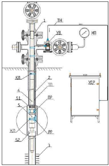 image020.jpg image020.jpg