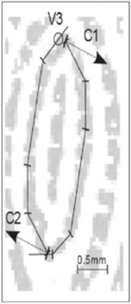 image018.jpg image018.jpg