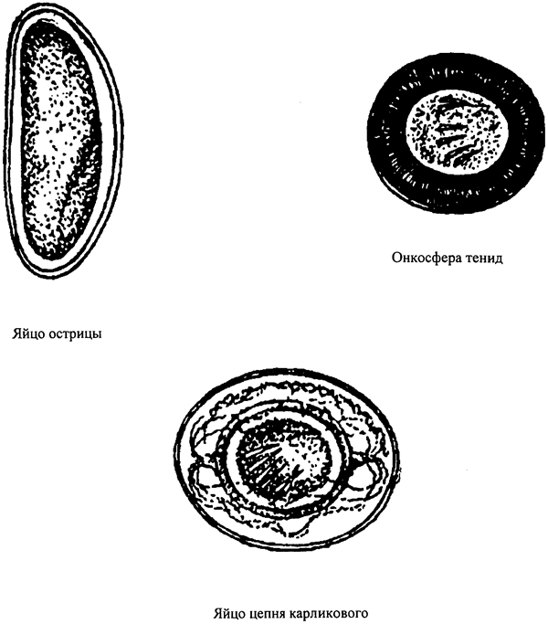 image005.png image005.png