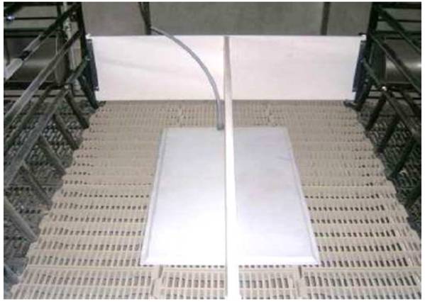 image022.jpg image022.jpg