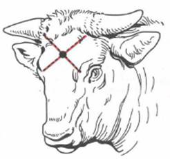 image015.jpg image015.jpg