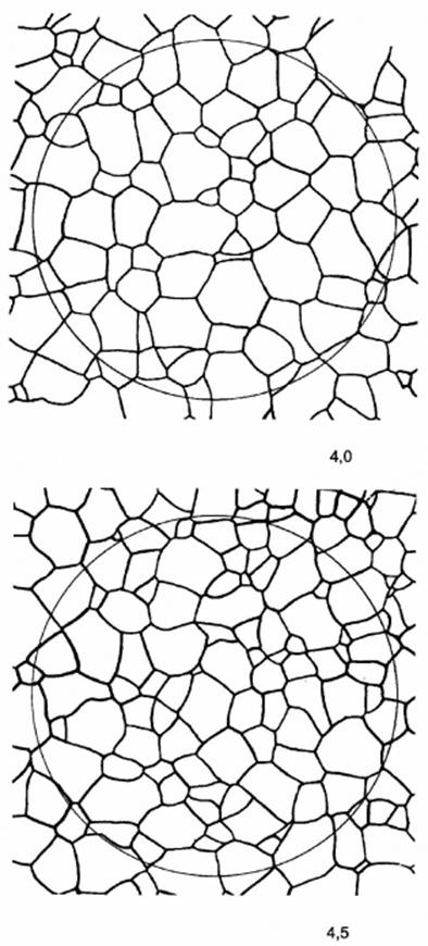 image019.jpg image019.jpg