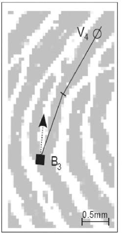 image020.jpg image020.jpg