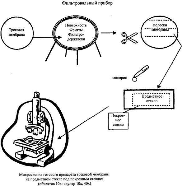 image006.png image006.png