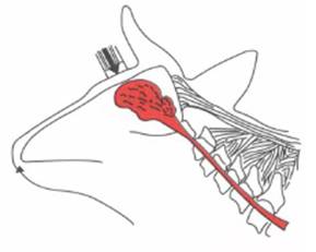 image016.jpg image016.jpg