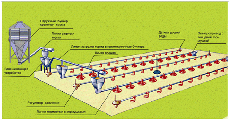 image011.gif image011.gif
