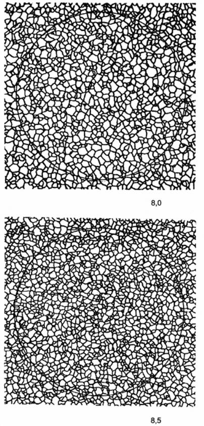 image023.jpg image023.jpg