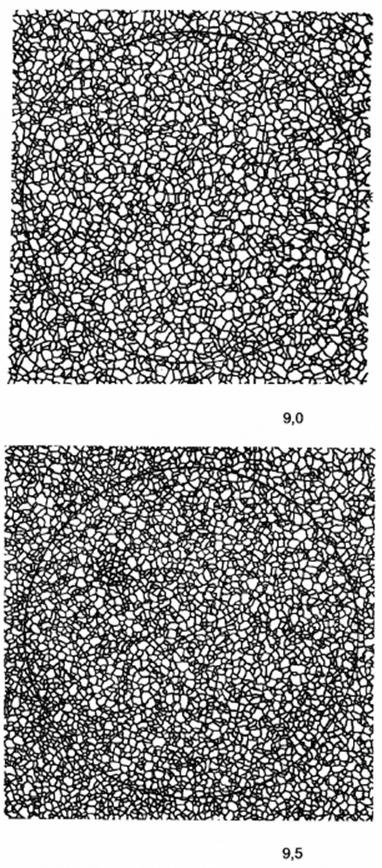 image024.jpg image024.jpg