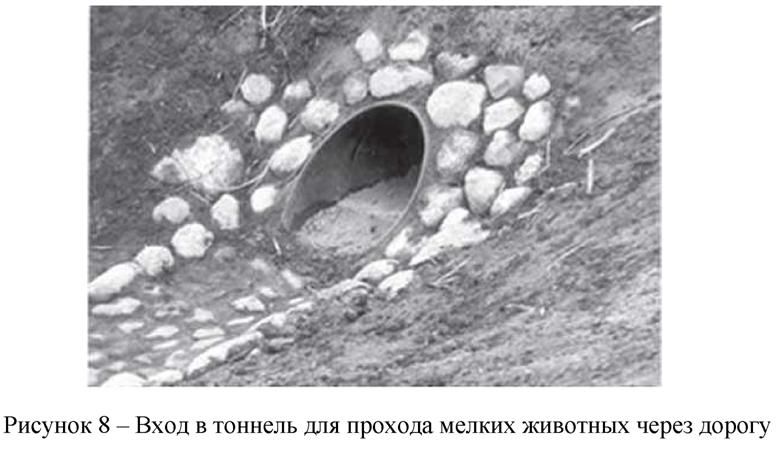 image009.jpg