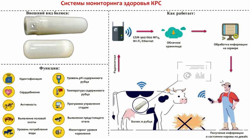 image001.jpg image001.jpg