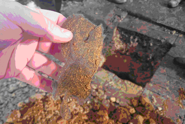 image011.gif