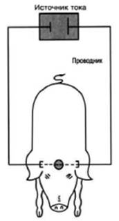 image021.jpg image021.jpg