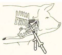 image023.jpg image023.jpg