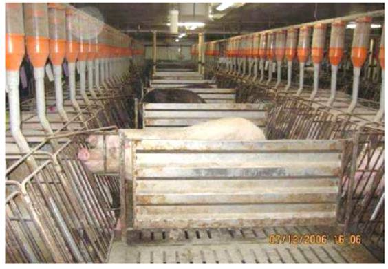 image017.jpg image017.jpg