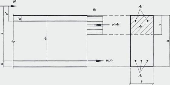 image023.jpg image023.jpg