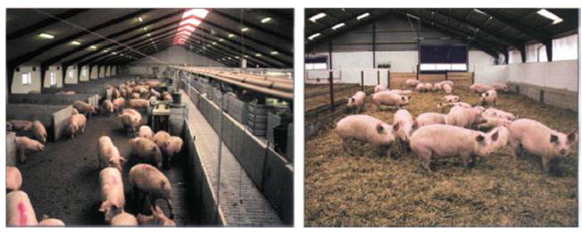 image018.jpg image018.jpg