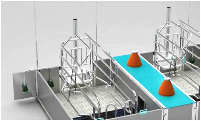 image020.jpg image020.jpg