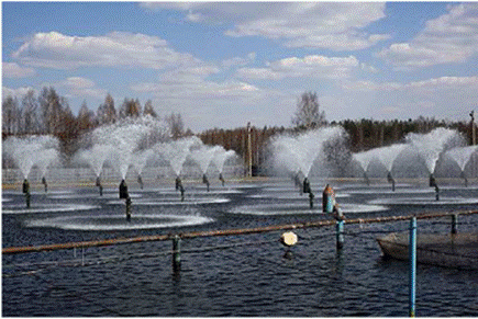 image026.gif image026.gif
