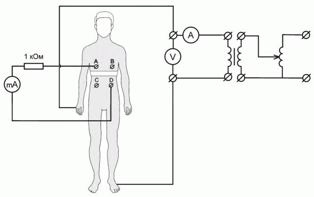 image005.jpg image005.jpg