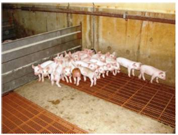 image061.jpg image061.jpg