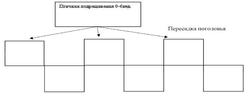 image020.jpg image020.jpg