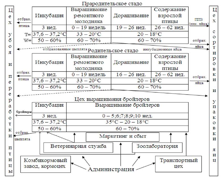 image005.jpg image005.jpg