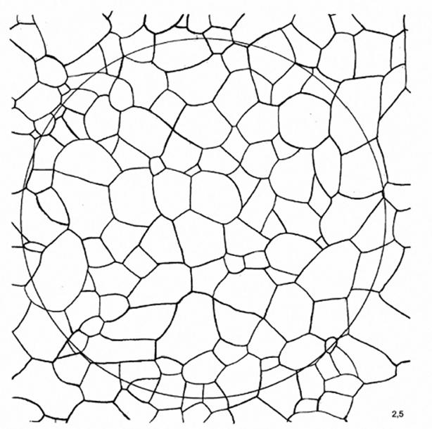 image017.jpg image017.jpg