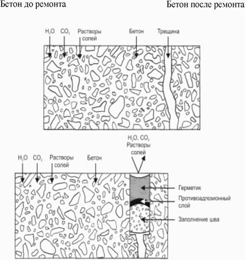 image037.jpg image037.jpg