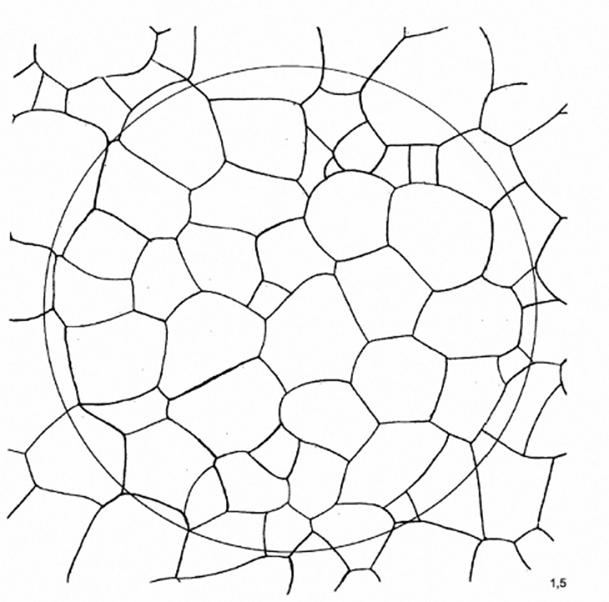 image015.jpg image015.jpg