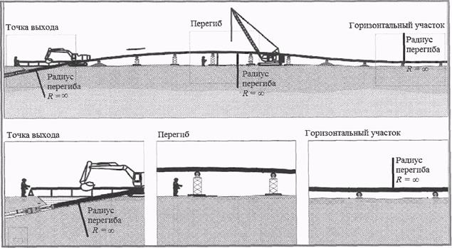 image019.jpg image019.jpg