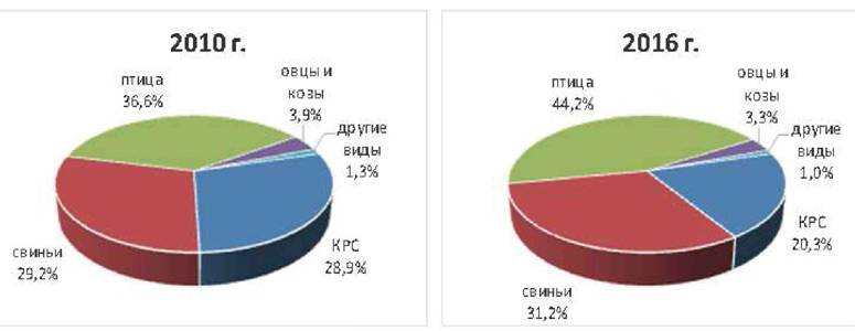 image003.jpg image003.jpg