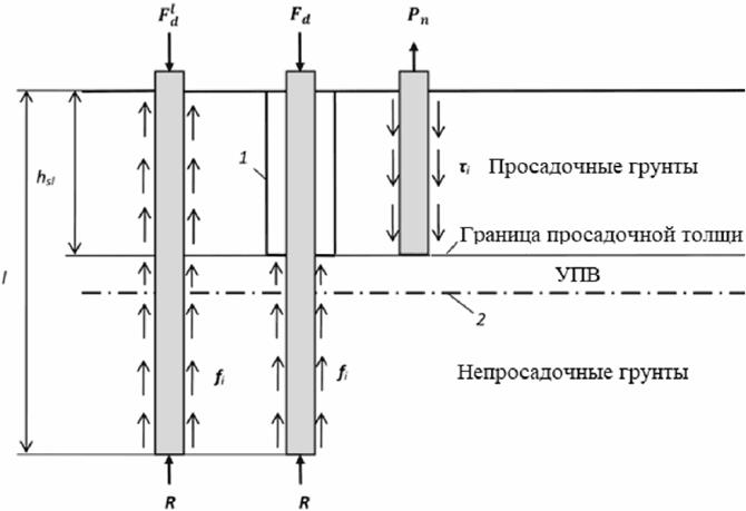 image045.jpg image045.jpg