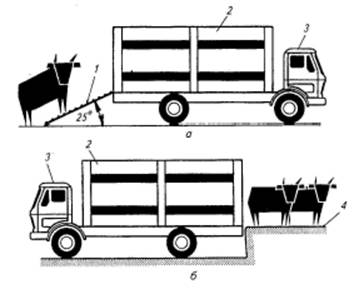 image009.jpg image009.jpg