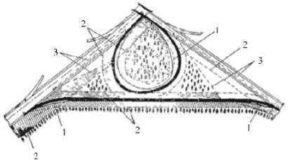 image004.jpg image004.jpg