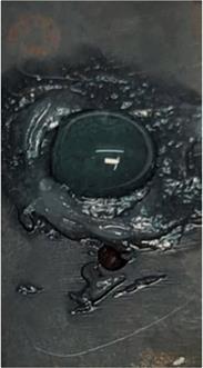 image013.jpg image013.jpg