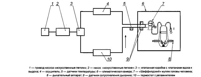 image009.jpg image009.jpg